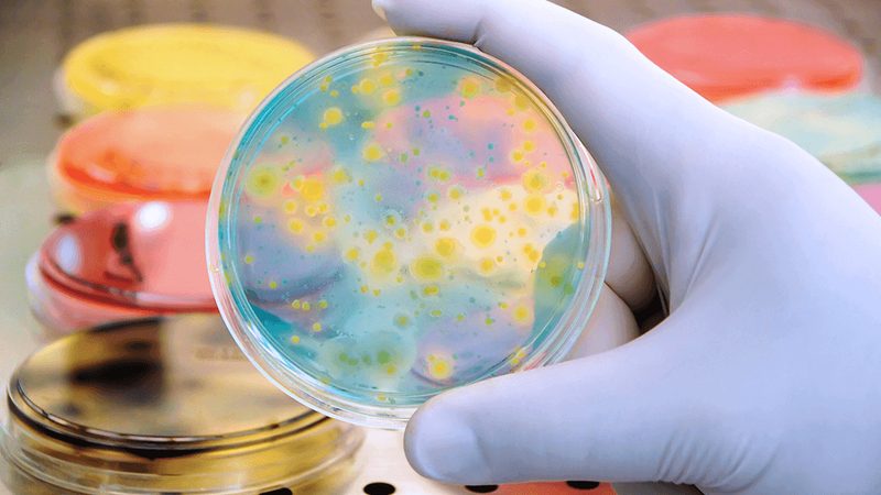 小分子CDMO：揭秘药物研发背后的“隐形功臣