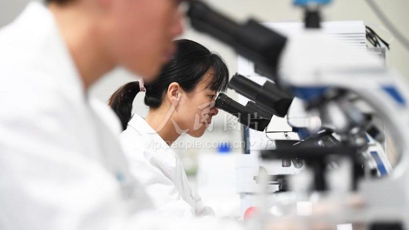 生物实验室装修：揭秘与普通装修的五大关键区别**
