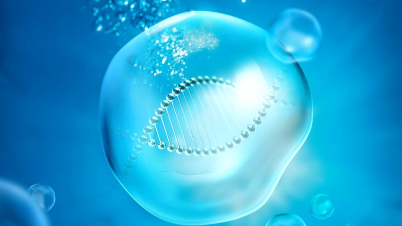 DNA连接酶失效原因解析：揭秘影响酶活性的关键因素