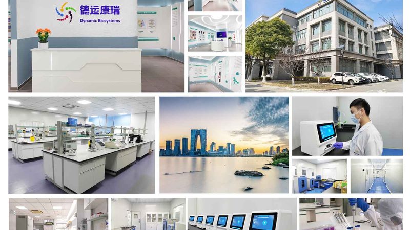 CDMO定制研发失败率：影响因素与应对策略