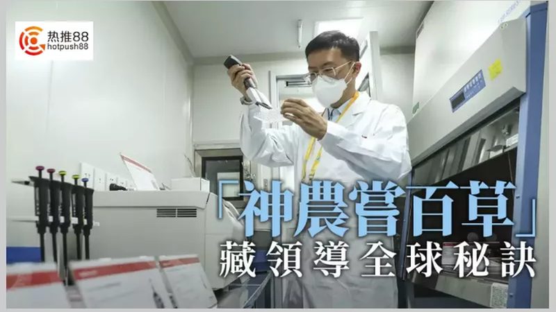 小分子CDMO绿色化学工艺：揭秘高效环保的药物合成之道**