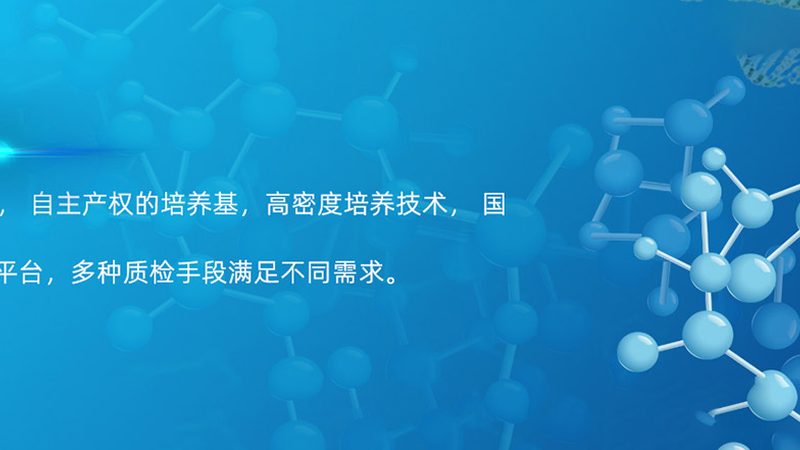 创新药CDMO临床试验用药定制：从工艺到交付的硬核拆解