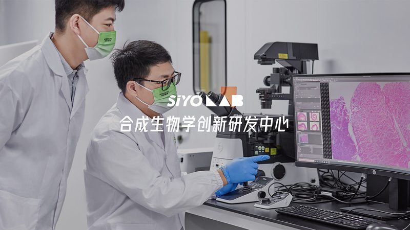 生物医药CDMO排名背后，藏着哪些行业真相