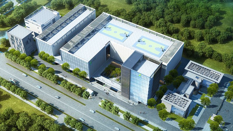 干细胞培养基的选择：揭秘其关键因素与误区