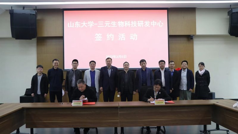 治疗性单克隆抗体定制：揭秘定制化药物的研发奥秘