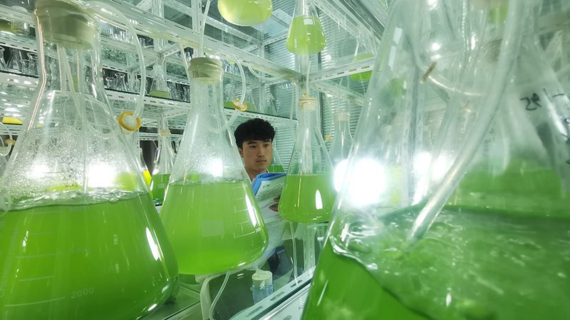 如何正确理解和使用ELISA试剂盒标准品参数